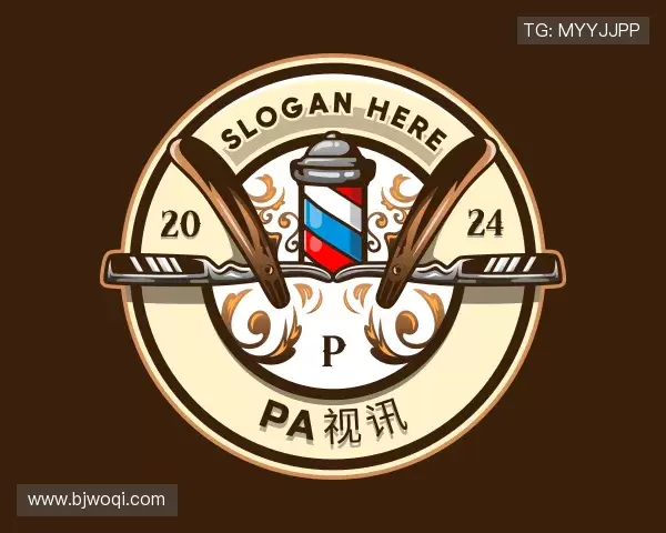 认识PA视讯